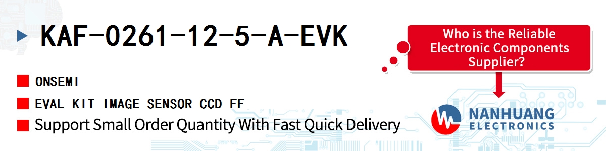 KAF-0261-12-5-A-EVK onsemi EVAL KIT IMAGE SENSOR CCD FF