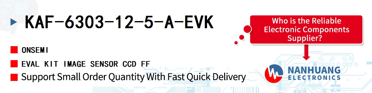 KAF-6303-12-5-A-EVK onsemi EVAL KIT IMAGE SENSOR CCD FF